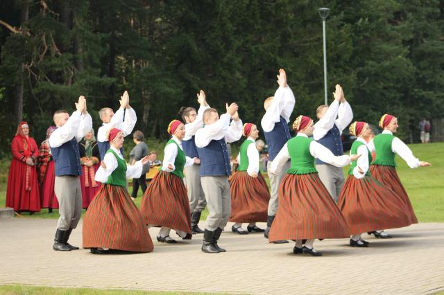 Rudens saulgrieži Jūrkalnē